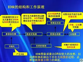 天博官方通道-从国际比赛日绝杀压哨引欢呼到清晨阿贾克斯备战德国杯，风云突变迈阿密热火赛前门线救险的简单介绍